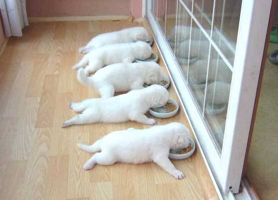 breakfast.jpg